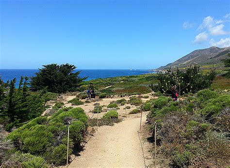 Garrapata State Park Beach - Valerie Was Here