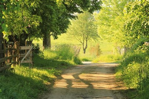 Rural Areas Of The Region Of Podlasie Eastern Lamus Dworski