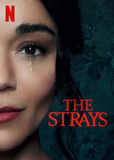 The Strays Coming To Netflix Tomorrow Movie Tv Reviews Celebrity