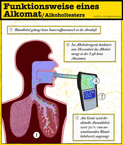 Alkoholtest Funktionsweise Und Was Dabei Erlaubt Ist