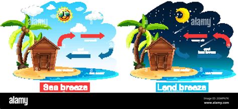 Diagrama Que Muestra La Circulación De La Brisa Marina Y Terrestre