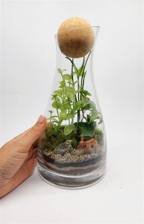 Флорариум закрытого типа Изящность Миниатюрная закрытая экосистема ...