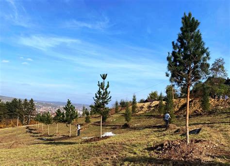 Extinderea Parcului Etnografic Prinde Contur Au Fost Planta I Primii