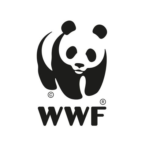 Wwf Logo Transparent