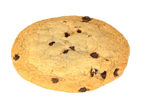 Печенье кукис ванильный с молочным шоколадом — купить оптом с доставкой ...