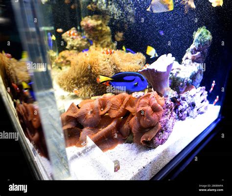 Kyoto Aquarium Japan Stock Photo - Alamy