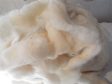 Navajo-churro Sheep Wool Roving White 6 Ounces - Etsy