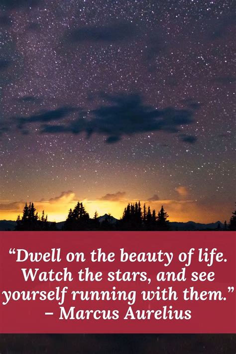 Dwell On The Beauty Of Life Watch The Stars And See Yourself Running