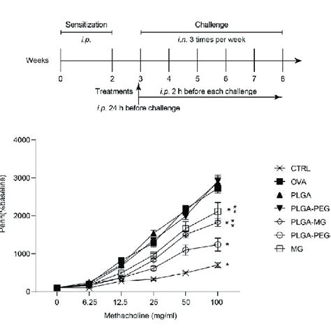 Magnolol Loaded Plga Peg Nanoparticles Migrate Allergeninduced Ahr A