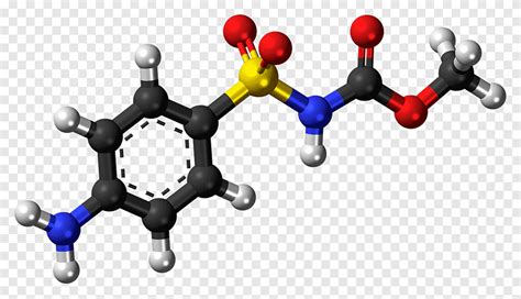 Focus on Majors: Molecular Biology - Mavin Learning Resources