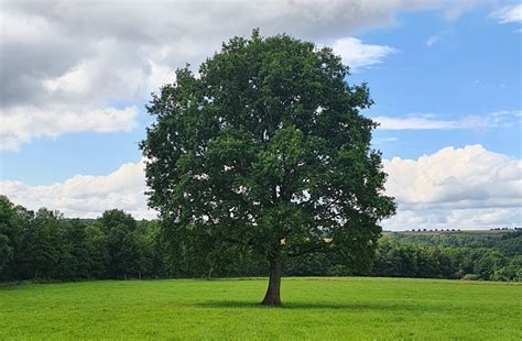 Der Sp Tsommer Kehrt Zur Ck