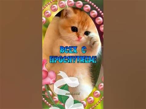 Доброе утро! Замурчательного настроения! - YouTube