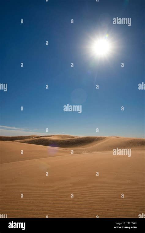 Sand Dunes in Little Sahara State Park in Waynoka, USA Stock Photo - Alamy