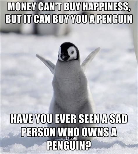 Happy World Penguin Day Meme