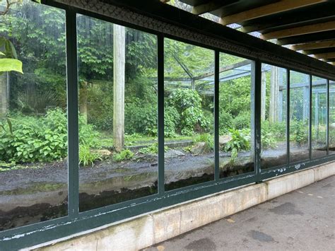 May 16th 2022 Viewing Windows Into Asiatic Lion Exhibit At Bristol