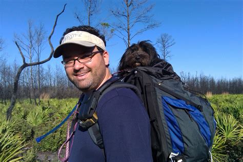 Hiking the Yearling Trail in the Ocala National Forest – Get Outside ...