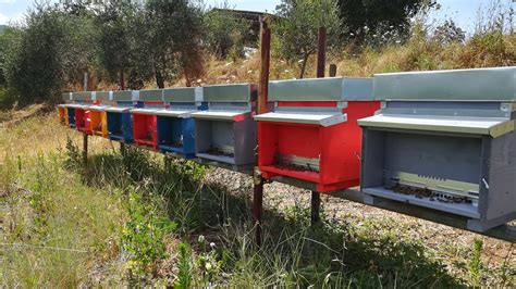 Agricoltura Biologica La Casa Dei Cini Produzione Biologica Di Vino