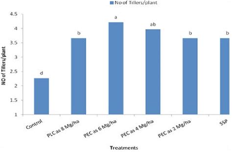 Residual Effects Of P Enriched Compost On Number Of Tillers Plant 1 Of