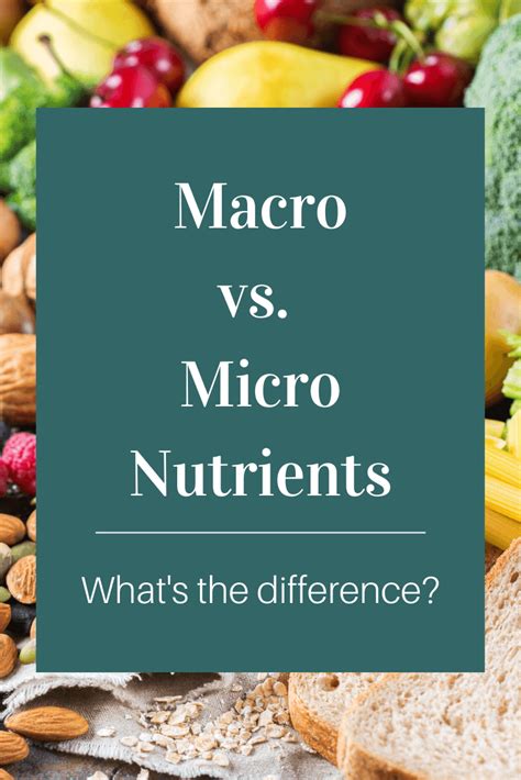 Macronutrients Vs Micronutrients What S The Difference Nutrition