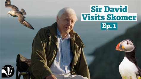 Filming Wild Isles Sir David Attenborough Visits Skomer Island Ep