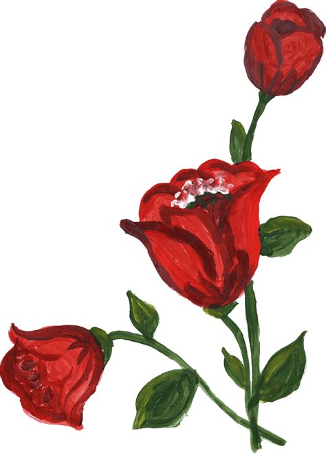 Red Rose Png Images 200