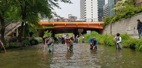 서울시설공단 청계천 봄맞이 환경정비 실시 파이낸셜뉴스