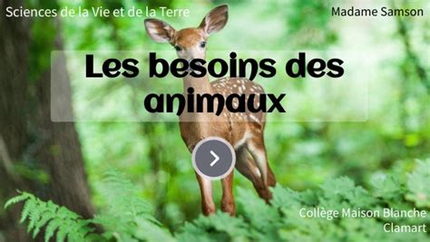 6e Besoins Animaux