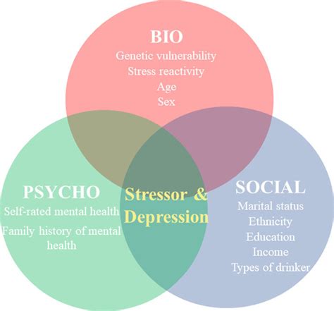 Biopsychosocial Model Of Development