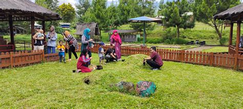 Taman Kelinci Di Area Sariater Camping Park Menjadi Wisata Favorit Bagi