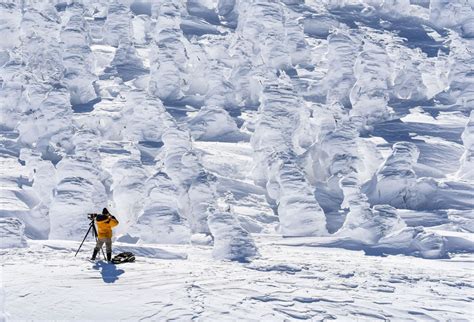 Juhyo: The Snow Monsters on Japan’s Mount Zao - The Atlantic