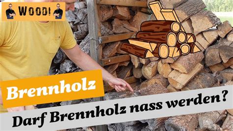 Brennholz Darf Brennholz Nass Werden Richtige Lagerung