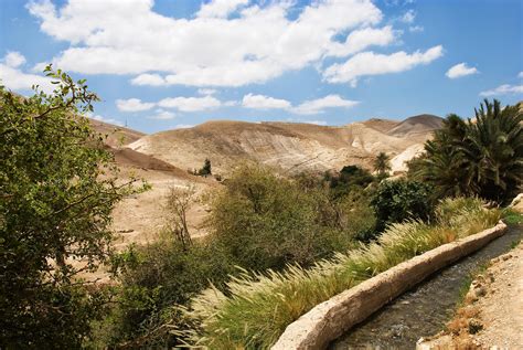 Shared Water Resources in Palestine - Fanack Water