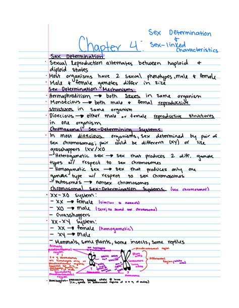 Chapter 4 Notes Sex Determination Chapter 4 Sex Linked Characteristic