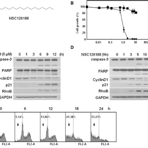 Nsc126188 Induces Apoptosis Of Pc 3 Cells A Structure Of Bsc126188 B