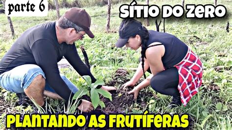 Plantamos As Primeiras Frut Feras No M Ni S Tio Podamos Todo P De