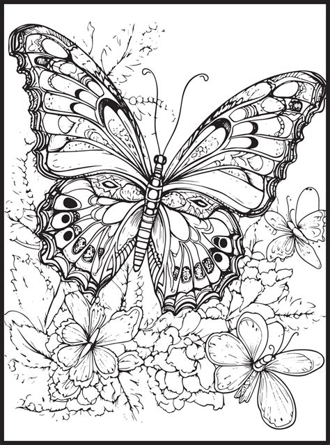 Butterfly Coloring Pages for Adults 23134349 Vector Art at Vecteezy