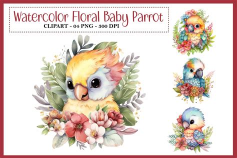 Cute Parrot Clip Art