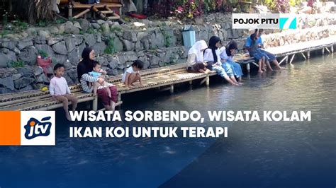 Wisata Sorbendo Wisata Kolam Ikan Koi Untuk Terapi POJOK PITU JTV