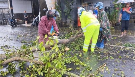 Nusabali Hujan Hari Picu Pohon Tumbang Dan Tanah Longsor