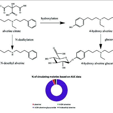 Schematic Representation Of Metabolic Pathways And Individual