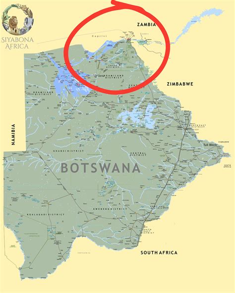 Why Botswana threatened to send 20,000 elephants to Germany | Explained