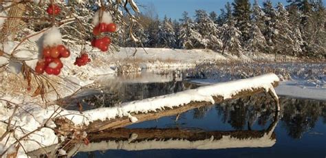 Winter wonderland in Bemidji - Bemidji Pioneer | News, weather and ...