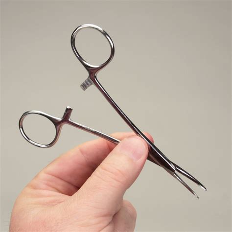 Hemostat Forceps Description At Peter Seals Blog