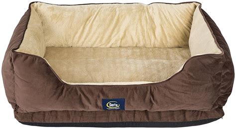 6 Best Serta Dog Beds