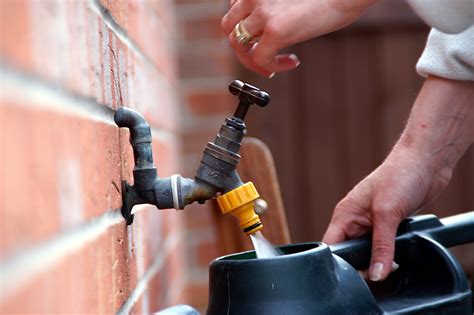 Watering The Garden Free Photo Download Freeimages