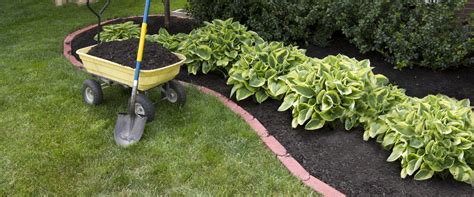 What Types of Mulch Should I Use for My Residential Landscaping Project?