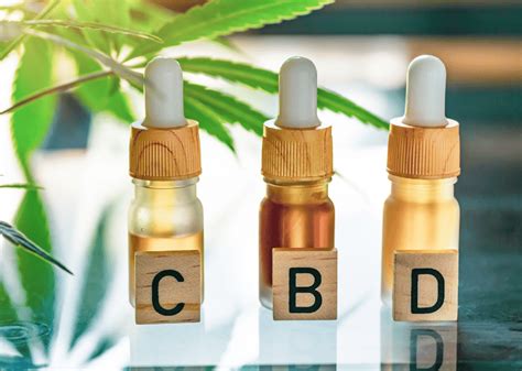 Cuál es el mejor aceite CBD del mercado en 2023