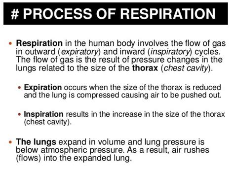 Explain The Process Of Human Respiratory System EduRev Class 10 Question