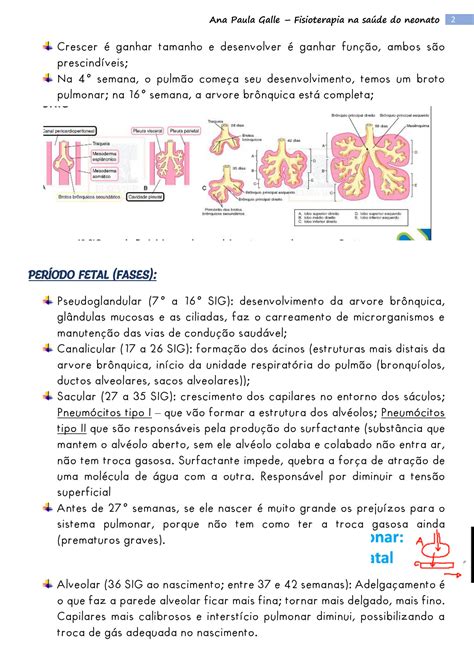 SOLUTION Fisiopatologia Do Sistema Nervoso E Cardiorrespirat Rio Do