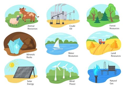 Diferentes Tipos De Ilustración De Recursos Naturales Vector Premium